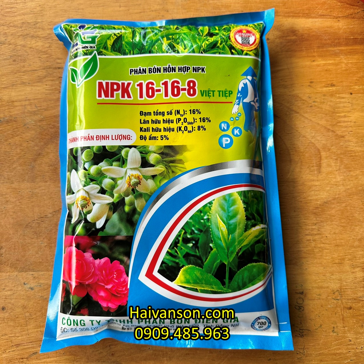 batch_16-16-8 việt tiệp