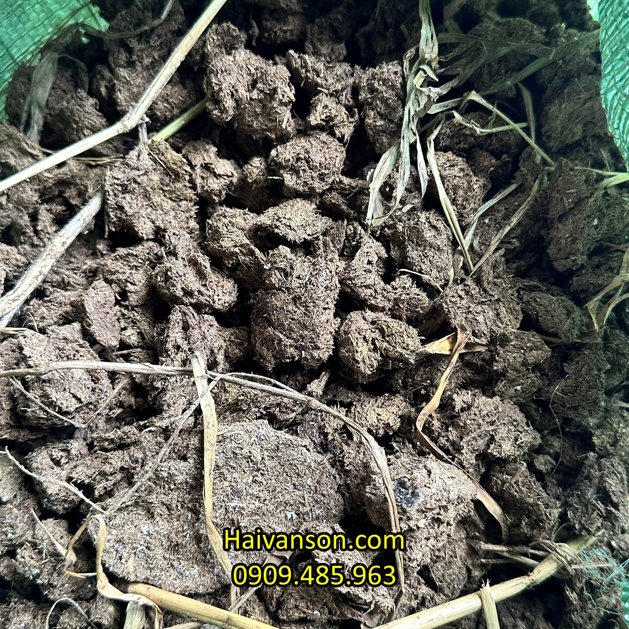 batch_mẫu phân bò