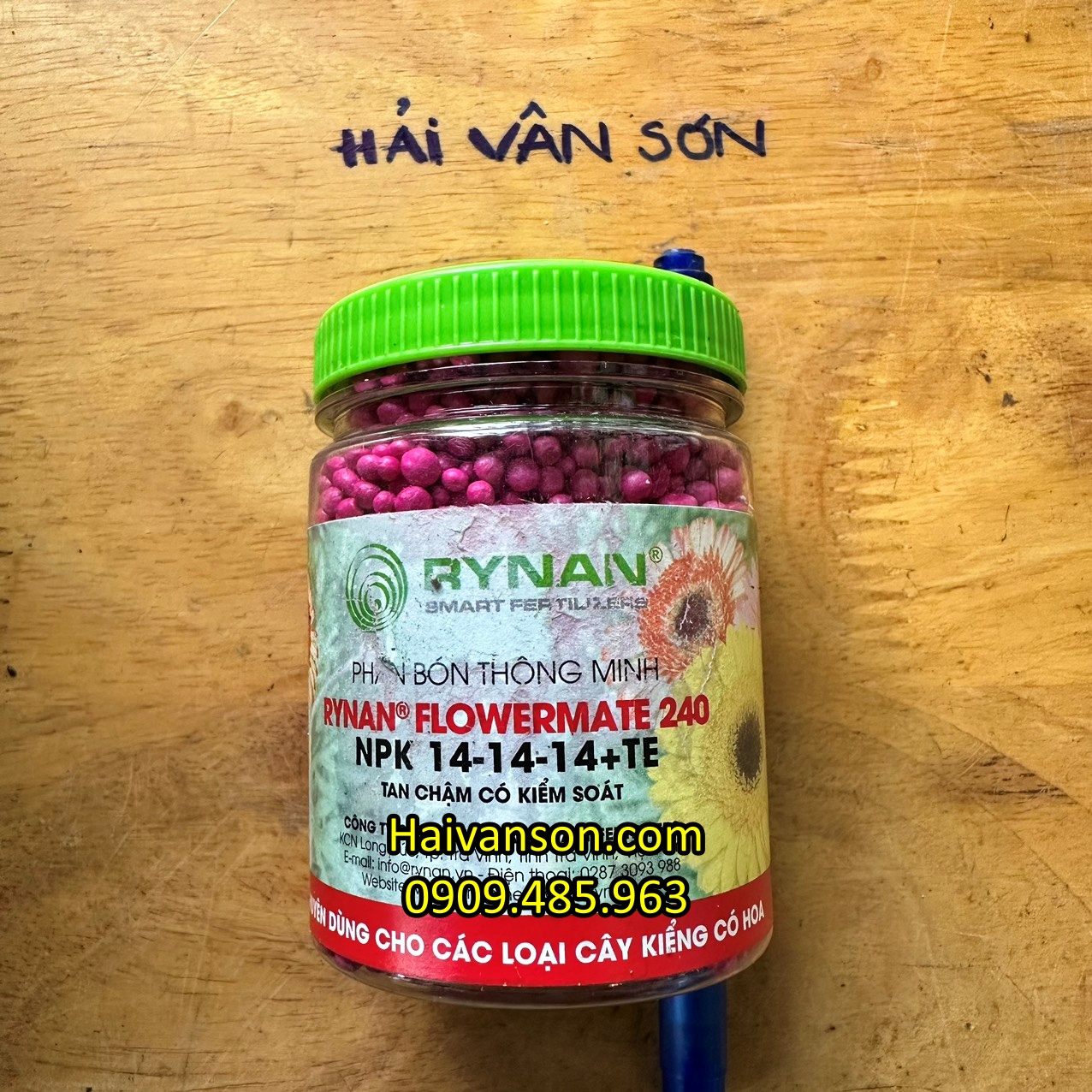 batch_rynan 240